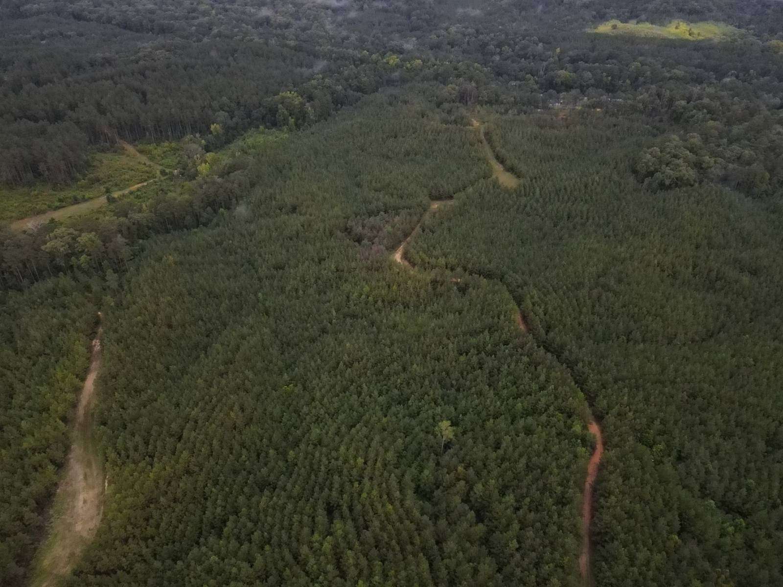 120 Acres of Recreational Land for Sale in Crosby, Mississippi