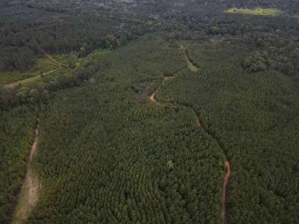 120 Acres of Recreational Land for Sale in Crosby, Mississippi