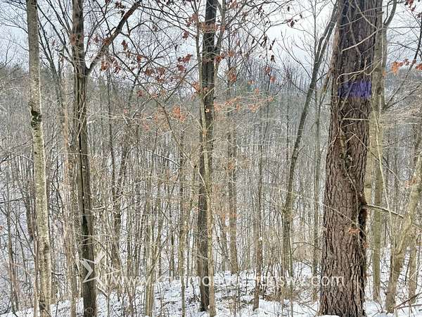 71 Acres of Recreational & Residential Land for Sale in Dingess, West Virginia