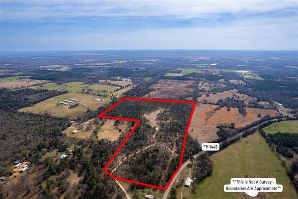 49 Acres of Recreational & Residential Land for Sale in Scroggins, Texas