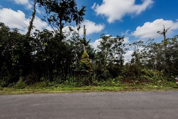 1 Acre of Residential Land for Sale in Pahoa, Hawaii