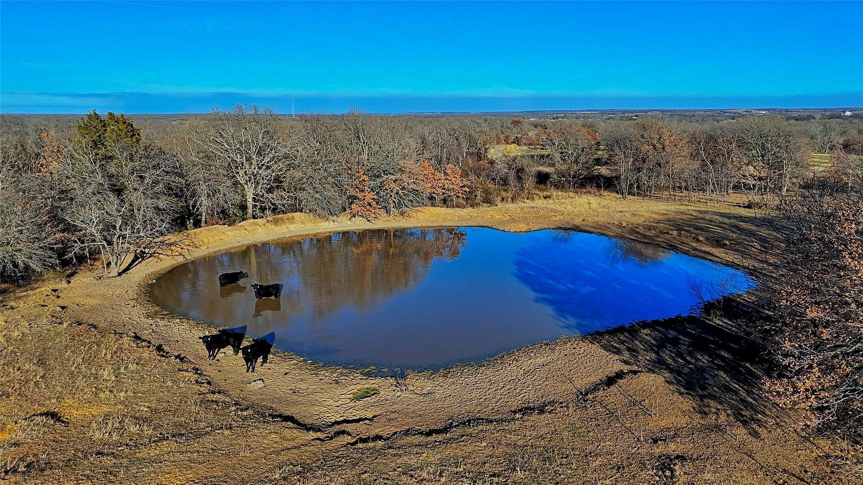 159 Acres of Land for Sale in Montague, Texas
