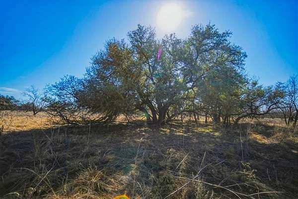 127 Acres of Land for Sale in Jacksboro, Texas
