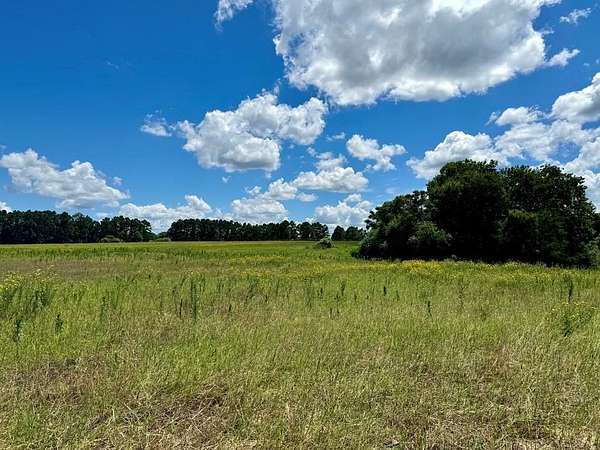 2.12 Acres of Residential Land for Sale in Athens, Texas