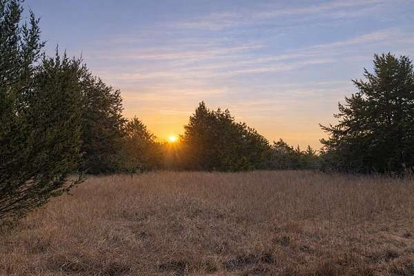 0.99 Acres of Residential Land for Sale in Dawson, Texas