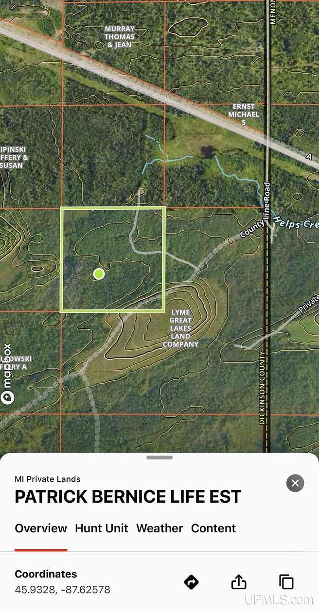 40 Acres of Recreational Land for Sale in Hardwood, Michigan