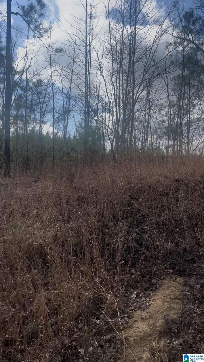 11.3 Acres of Recreational & Residential Land for Sale in West Blocton, Alabama