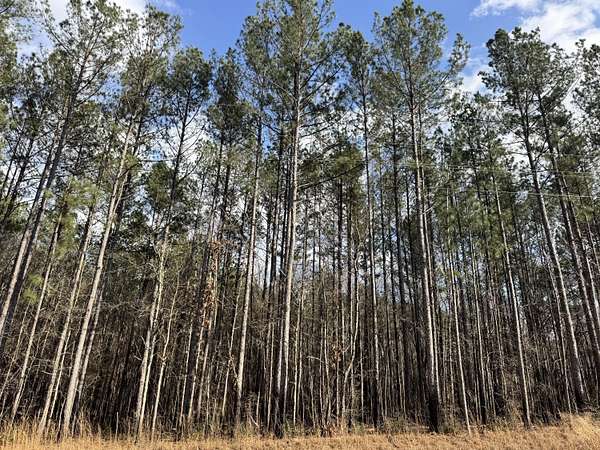 120 Acres of Land for Sale in Sumrall, Mississippi