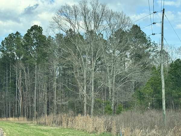 120 Acres of Land for Sale in Sumrall, Mississippi