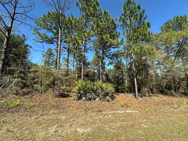 0.23 Acres of Land for Sale in Citrus Springs, Florida