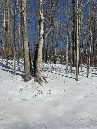 1.1 Acres of Land for Sale in Prattsville, New York
