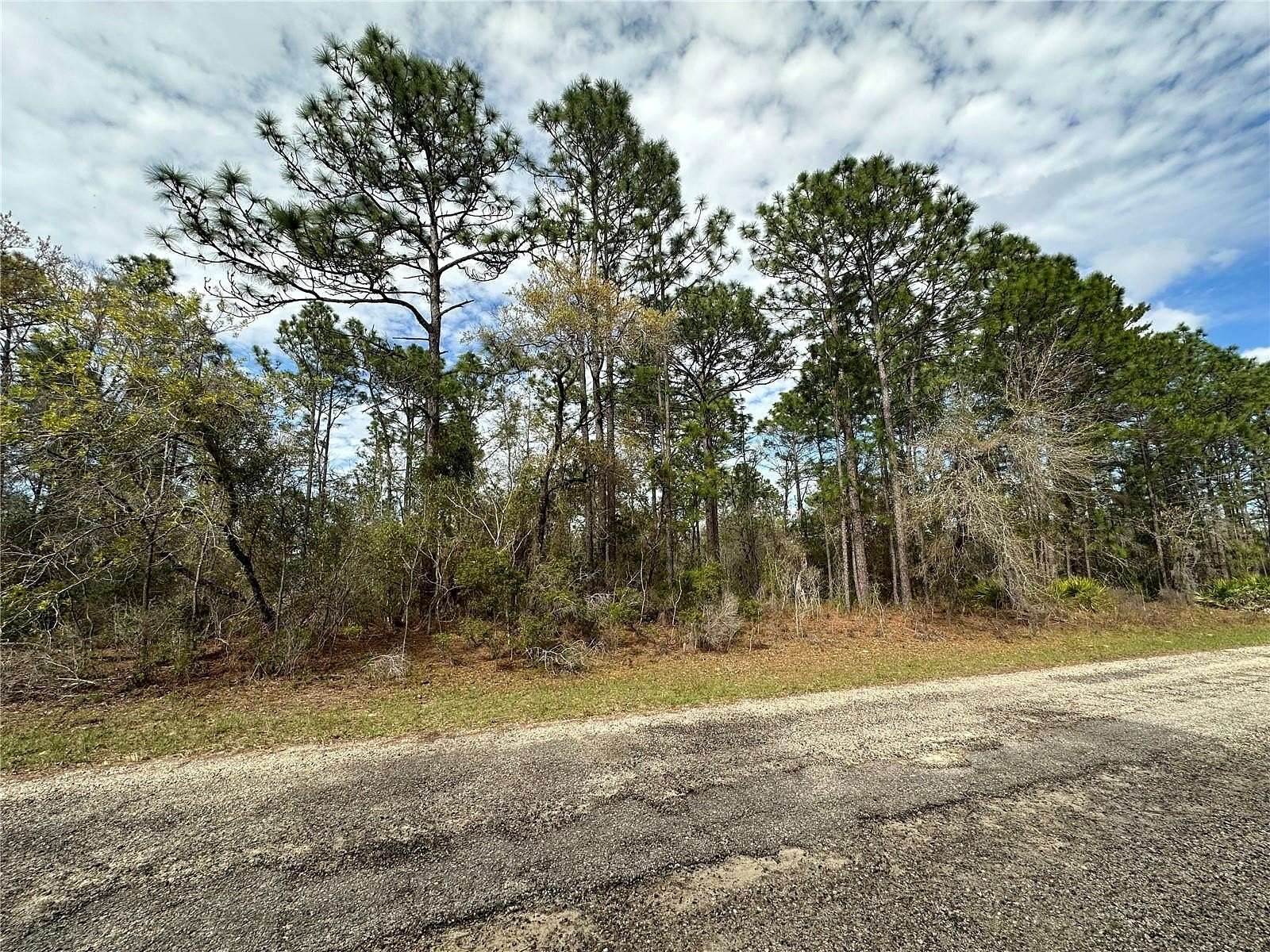 0.23 Acres of Residential Land for Sale in Dunnellon, Florida