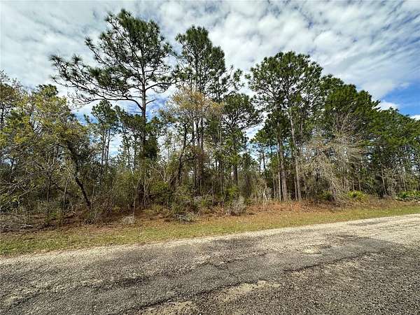 0.23 Acres of Residential Land for Sale in Dunnellon, Florida