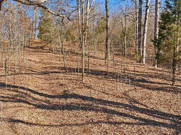 4 Acres of Residential Land for Sale in Philpot, Kentucky