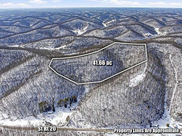 41.7 Acres of Recreational Land for Auction in Wallace, West Virginia