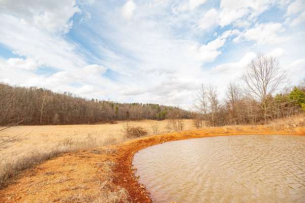 158 Acres of Land for Sale in Piedmont, Missouri