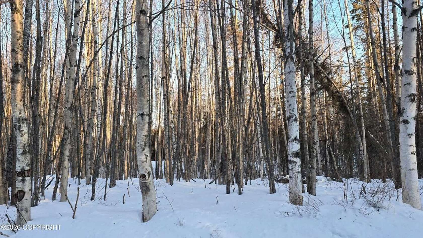 0.91 Acres of Residential Land for Sale in Nikiski, Alaska