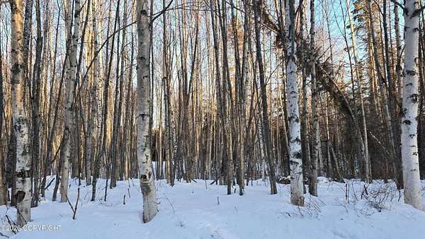 0.91 Acres of Residential Land for Sale in Nikiski, Alaska