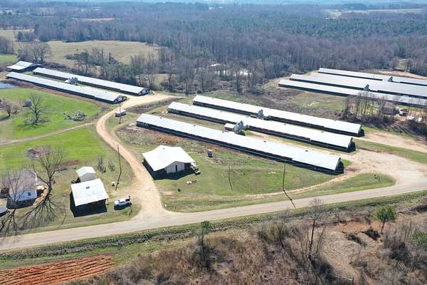 17 Acres of Land with Home for Sale in Wedowee, Alabama