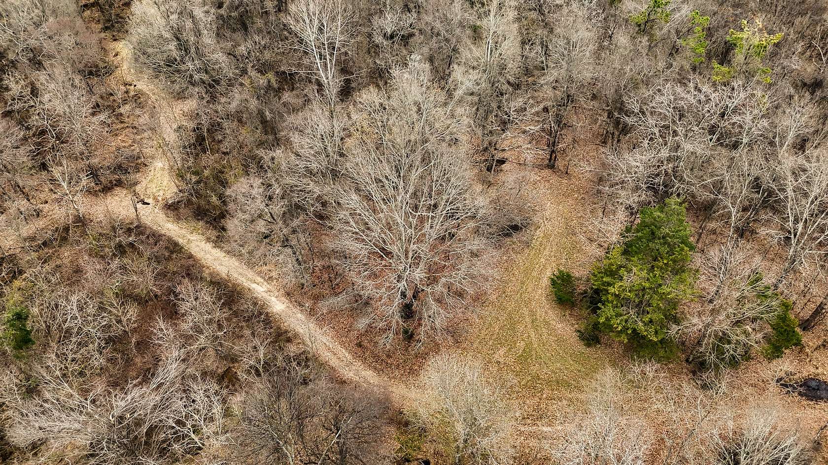 82 Acres of Recreational Land with Home for Sale in Redwood, Mississippi