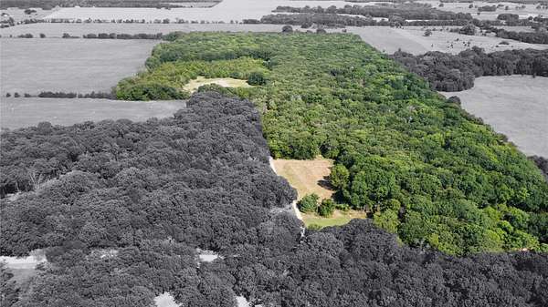 20 Acres of Recreational Land with Home for Sale in Telephone, Texas