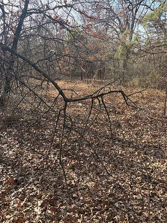 0.64 Acres of Residential Land for Sale in Dallas, Texas