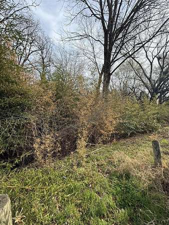 0.25 Acres of Residential Land for Sale in Tool, Texas