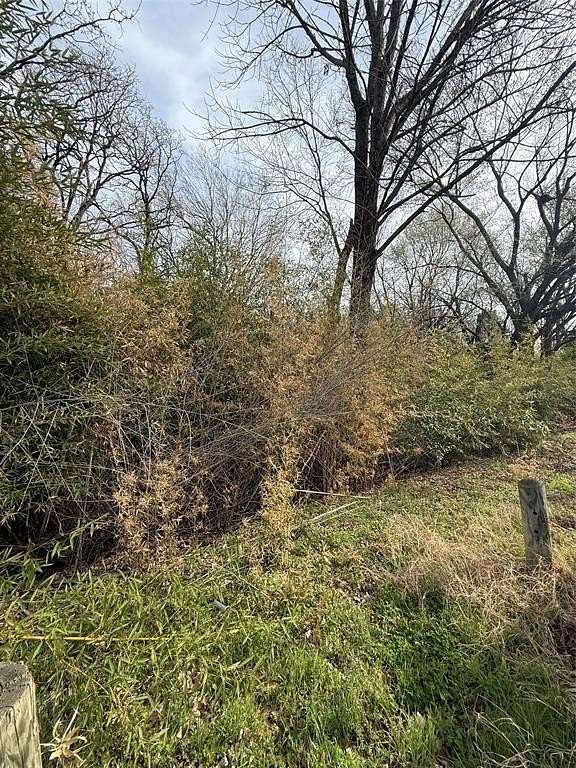 0.81 Acres of Residential Land for Sale in Tool, Texas