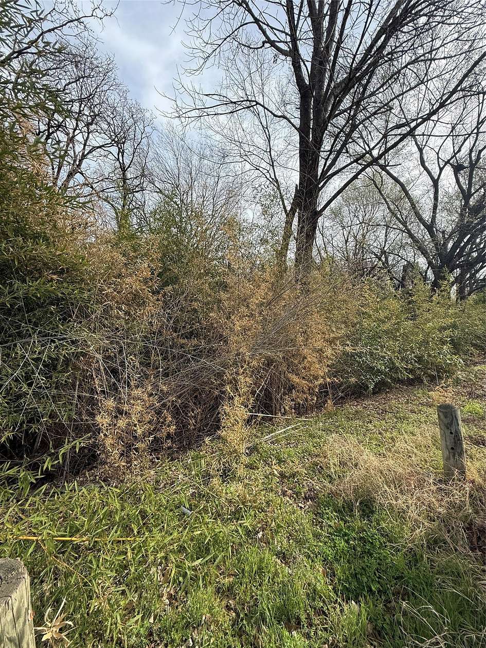 0.81 Acres of Residential Land for Sale in Tool, Texas