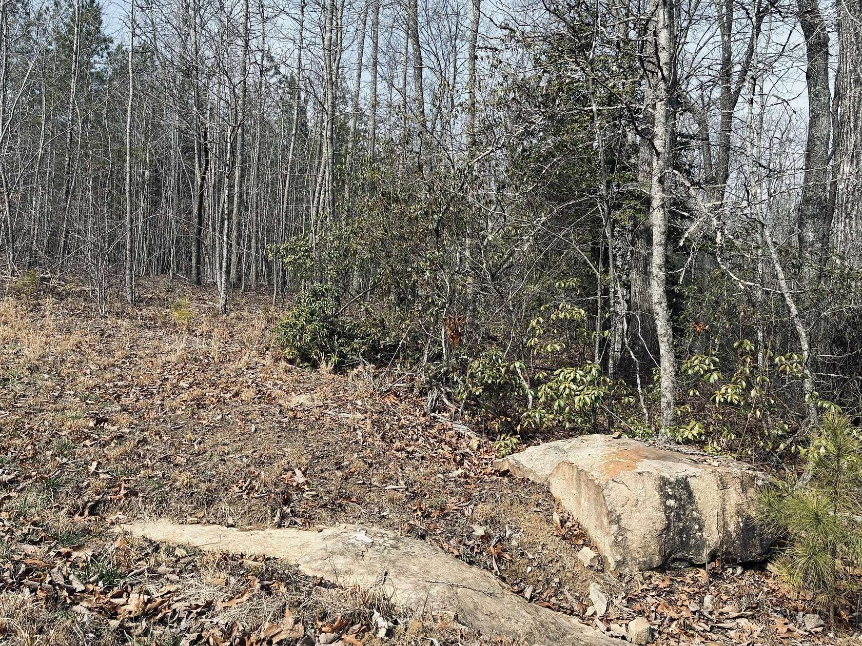 2 Acres of Residential Land for Sale in Jasper, Tennessee