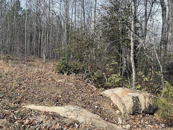 2 Acres of Residential Land for Sale in Jasper, Tennessee