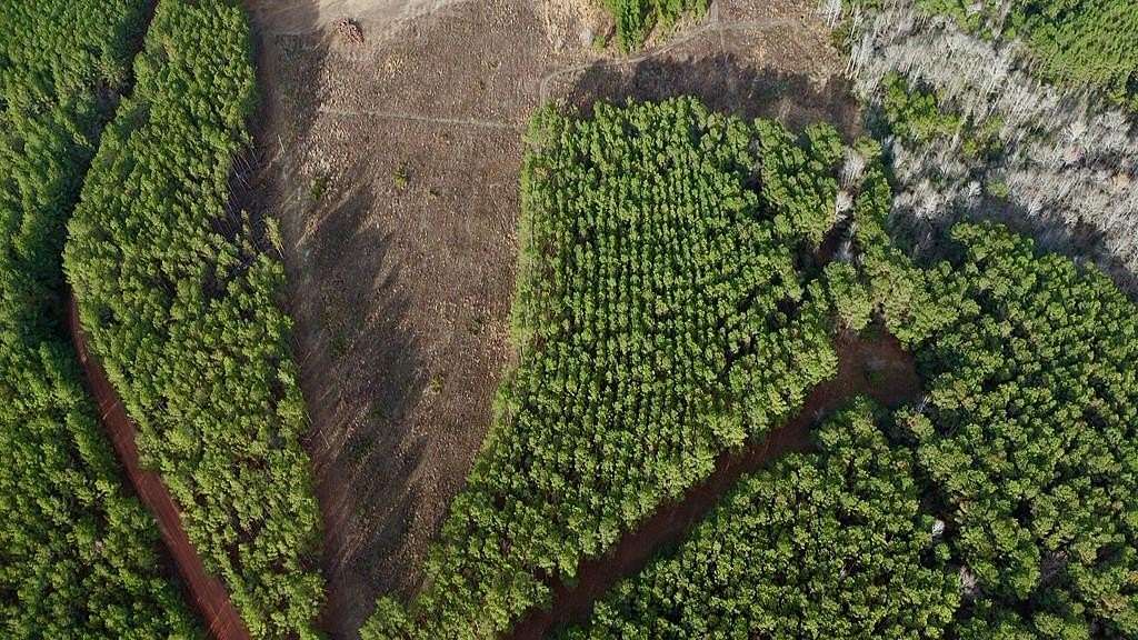 1 Acre of Residential Land for Sale in Milan, Georgia