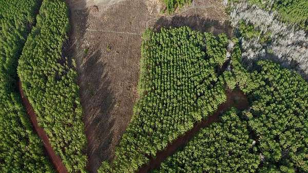 1 Acre of Residential Land for Sale in Milan, Georgia