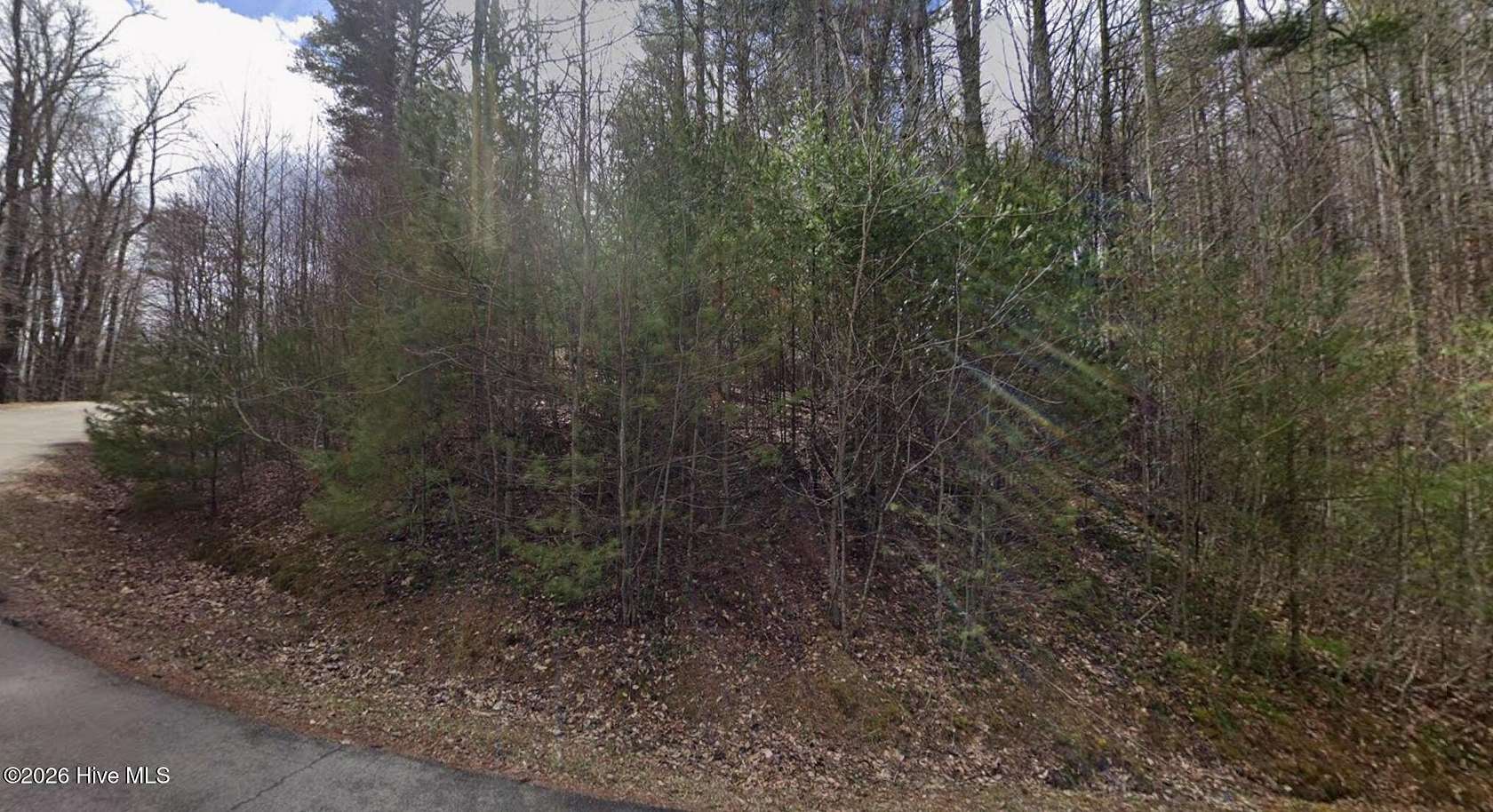 1.29 Acres of Residential Land for Sale in Vilas, North Carolina