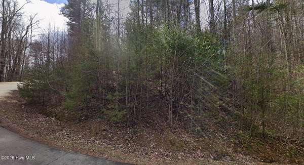 1.29 Acres of Residential Land for Sale in Vilas, North Carolina