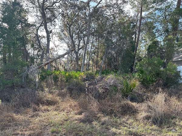 0.16 Acres of Residential Land for Sale in Poinciana, Florida