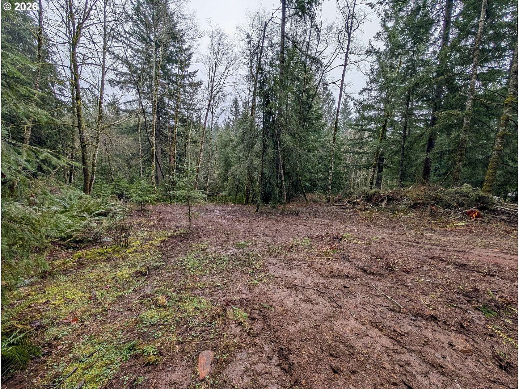 3.18 Acres of Residential Land for Sale in Battle Ground, Washington