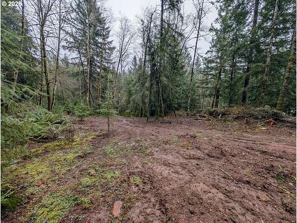 3.18 Acres of Residential Land for Sale in Battle Ground, Washington