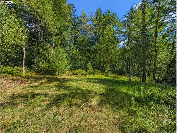 3.18 Acres of Residential Land for Sale in Battle Ground, Washington