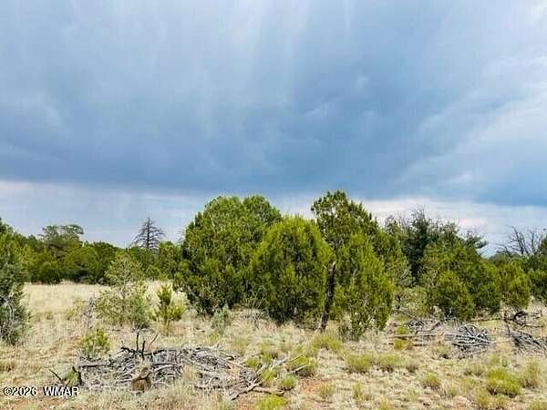 5.9 Acres of Residential Land for Sale in Happy Jack, Arizona