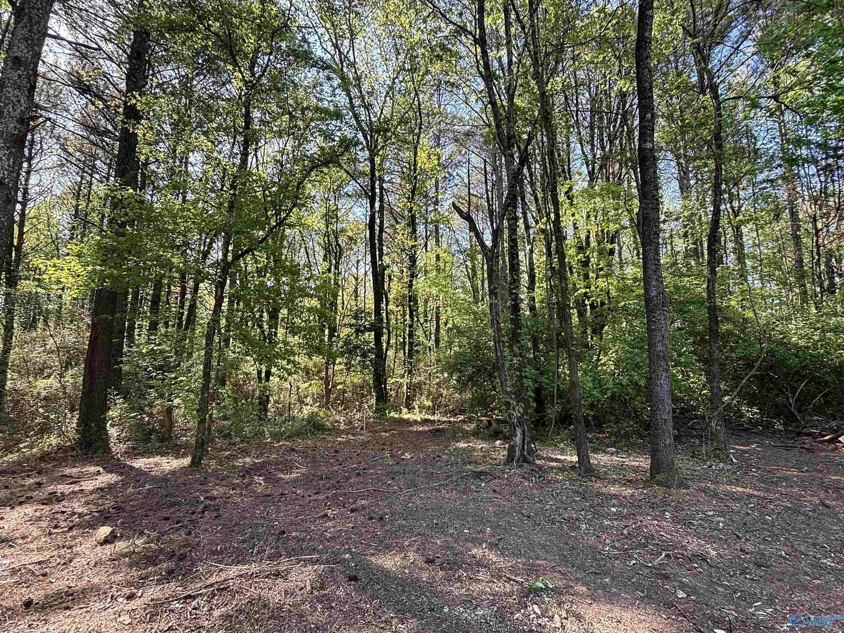 5.38 Acres of Residential Land for Sale in Huntsville, Alabama