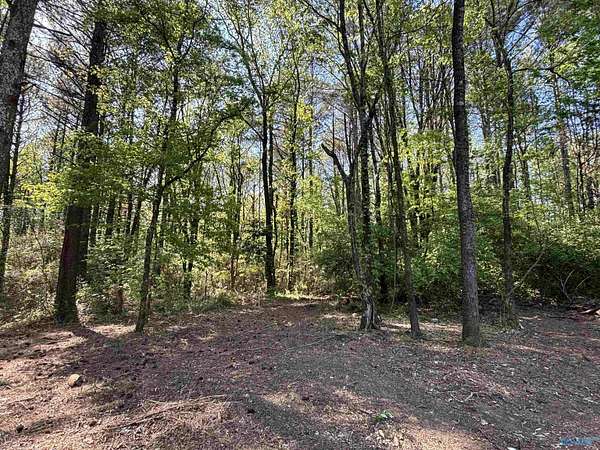 5.38 Acres of Residential Land for Sale in Huntsville, Alabama