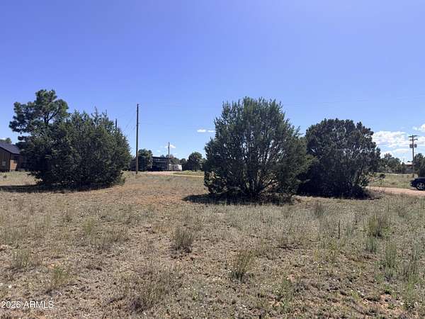 0.28 Acres of Residential Land for Sale in Overgaard, Arizona