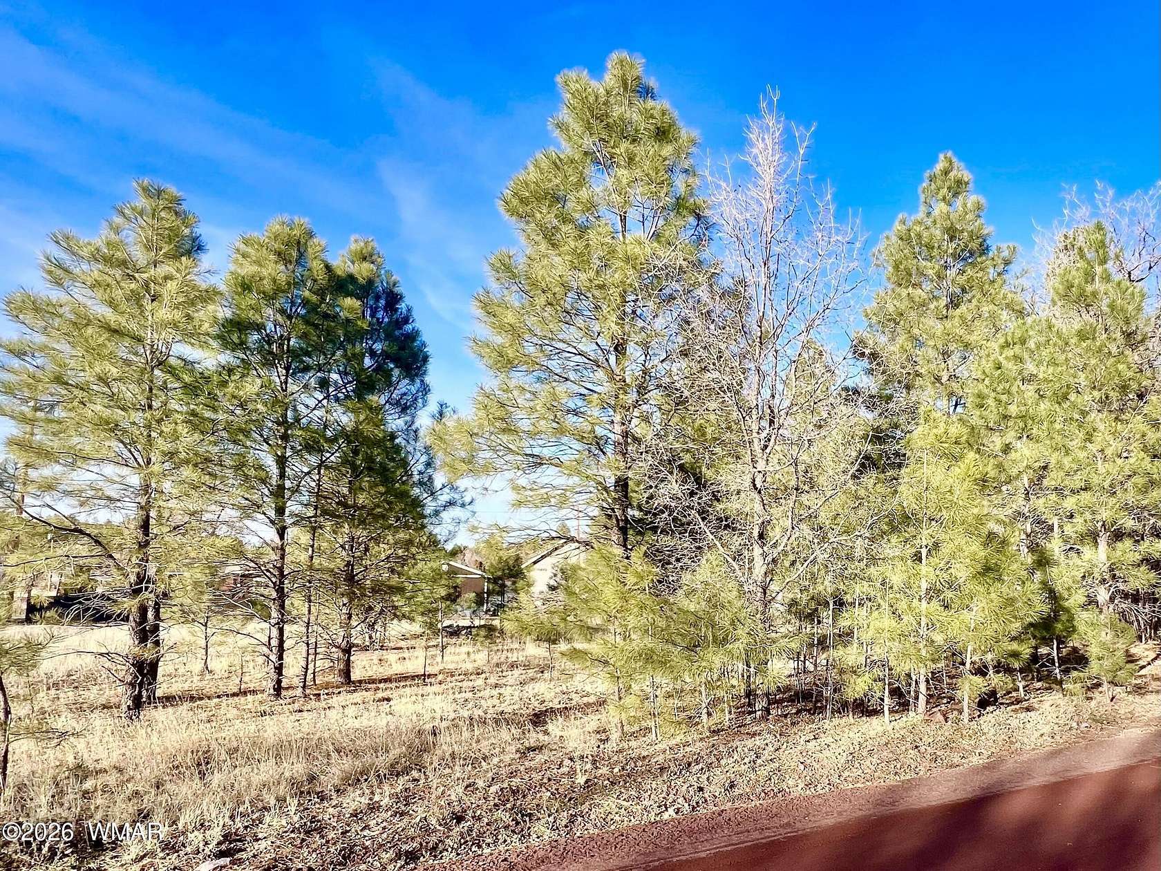 0.27 Acres of Residential Land for Sale in Show Low, Arizona