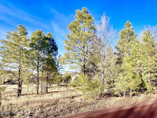 0.27 Acres of Residential Land for Sale in Show Low, Arizona