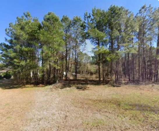 1 Acre of Residential Land for Sale in Longs, South Carolina