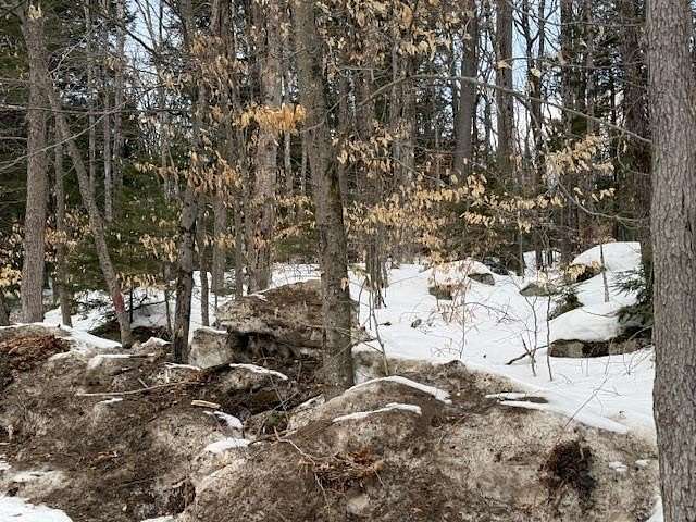 3 Acres of Mixed-Use Land for Sale in Albany, New Hampshire