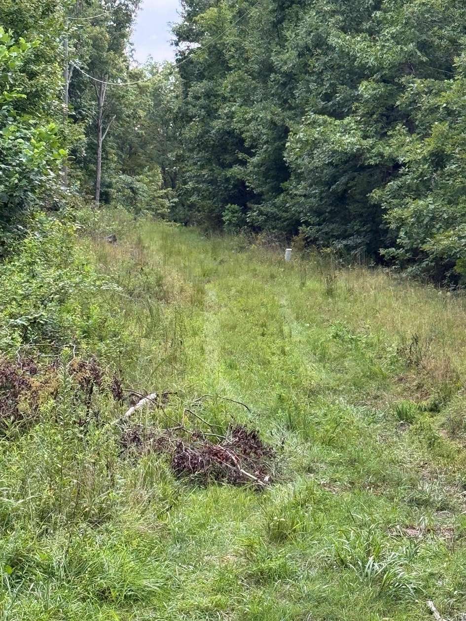 6.12 Acres of Residential Land for Sale in Menlo, Georgia