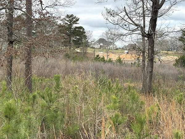 2.33 Acres of Residential Land for Sale in Headland, Alabama