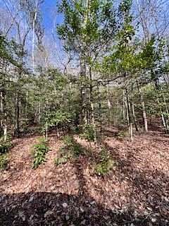 8.67 Acres of Residential Land for Sale in Andrews, North Carolina